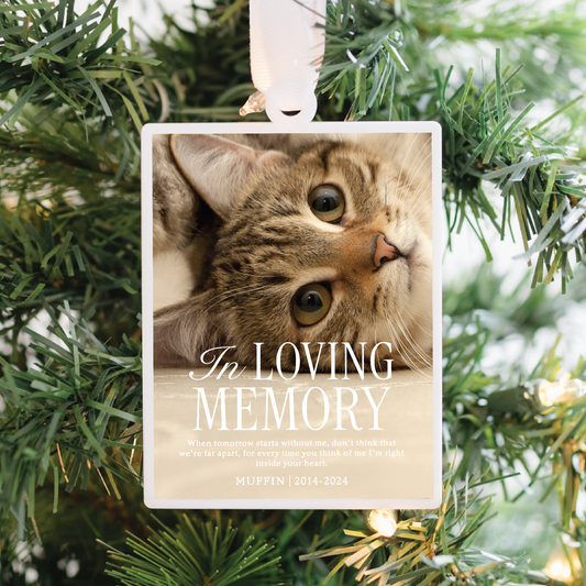 Personalized Pet Memorial Acrylic Ornament