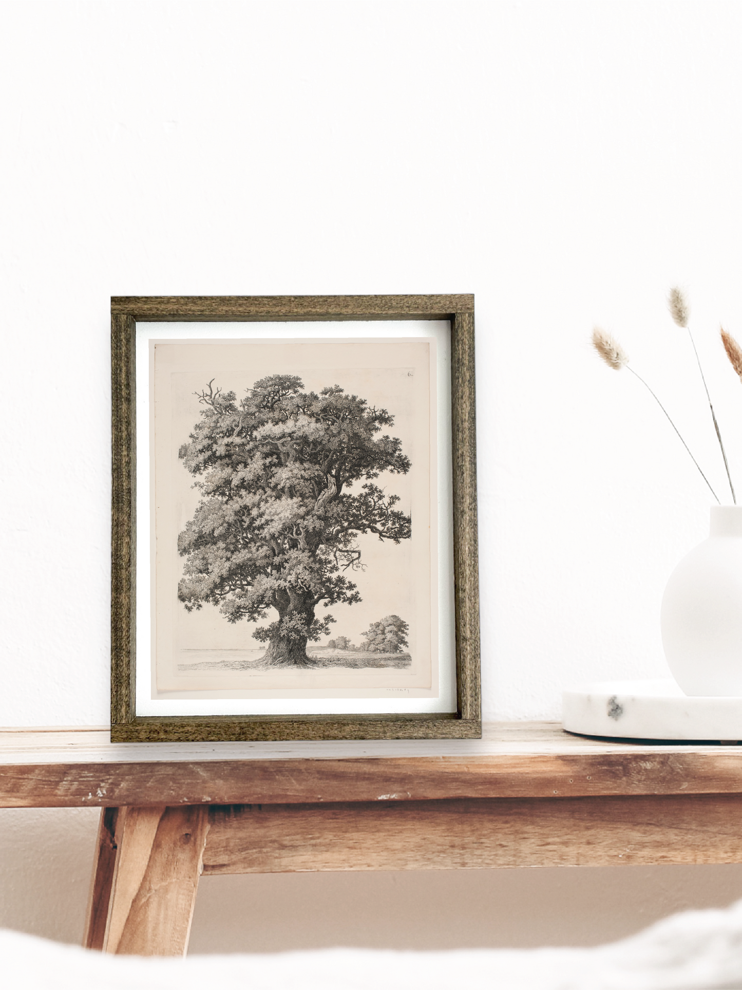 Vintage B&W Tree Sign