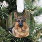 Personalized Pet Memorial Ornament
