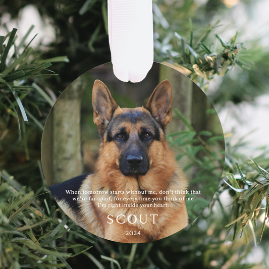 Personalized Pet Memorial Ornament