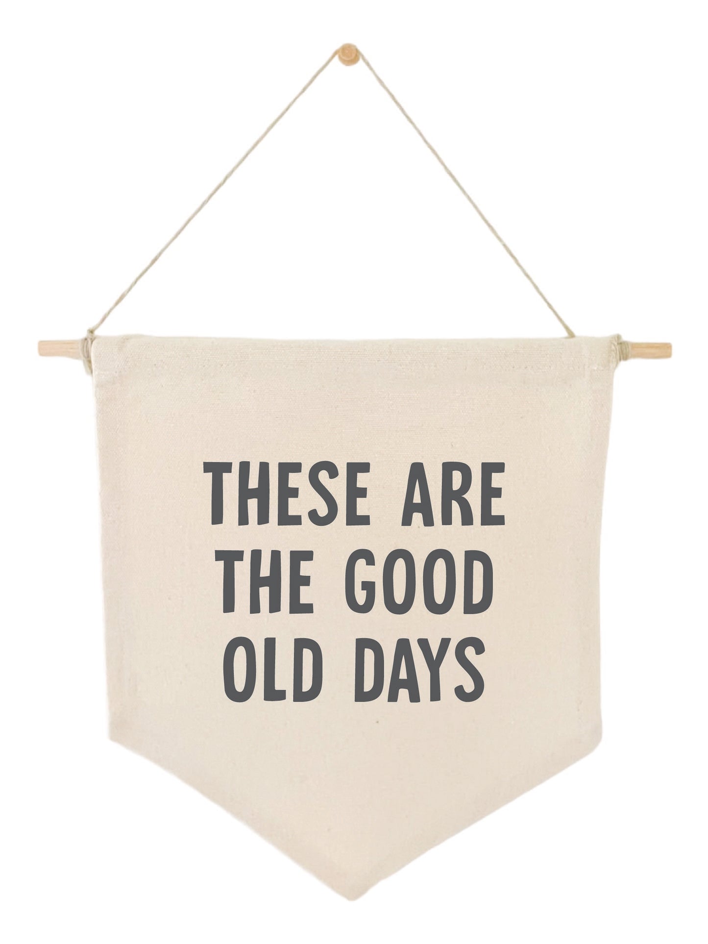 These Are The Good Old Days Banner