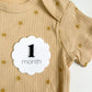 Scalloped Monthly Baby Milestone Discs