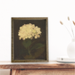 Vintage Dark Moody Botanicals
