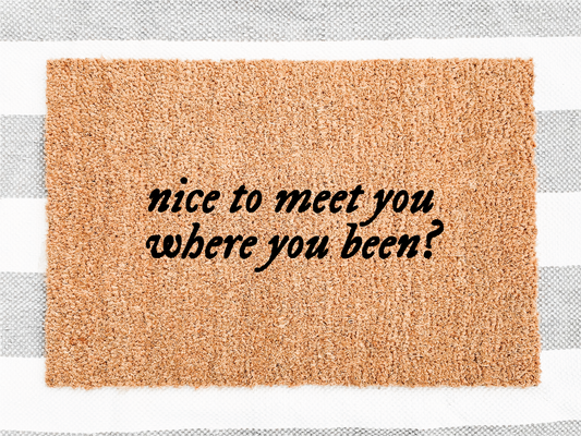 Nice to Meet you Where You Been Taylor Swift Doormat